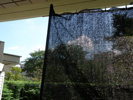 2012072902.jpg