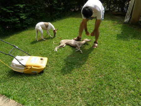 2012072904.jpg