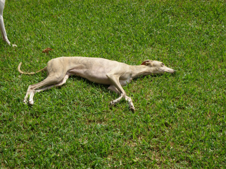 2012072905.jpg