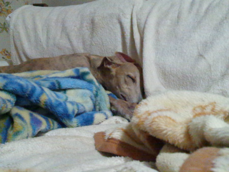 2012080202.jpg