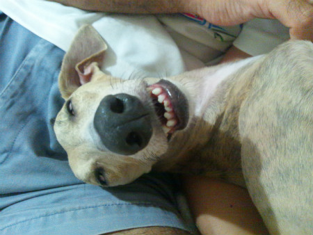 2012082402.jpg
