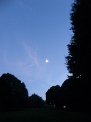 2012082504.jpg
