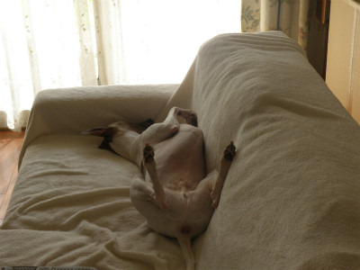 2012082801.jpg