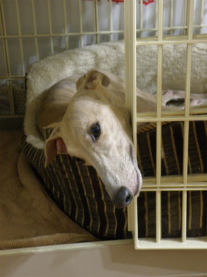2012083001.jpg