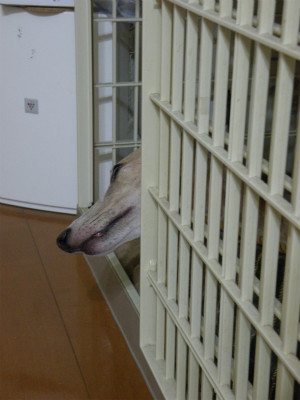 2012083002.jpg
