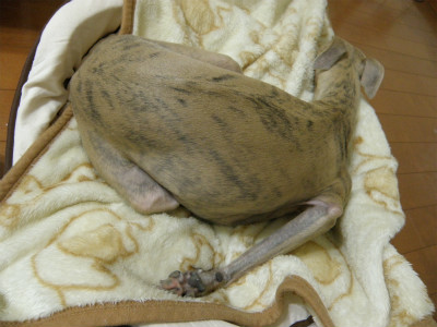 2012090301.jpg