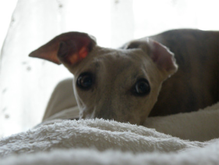 2012090807.jpg