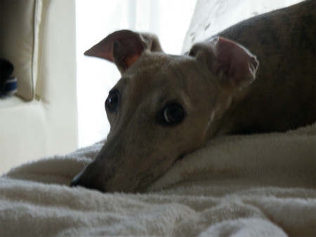 2012090808.jpg
