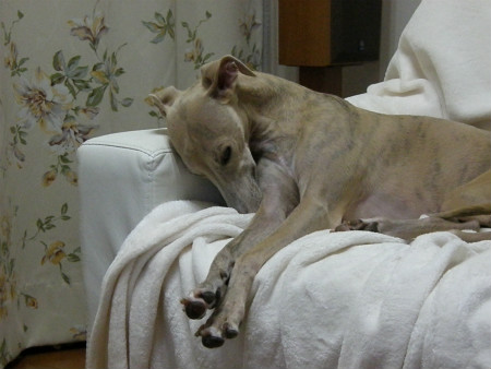2012092203.jpg
