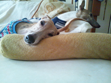 2012092601.jpg