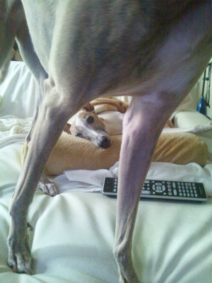 2012092701.jpg