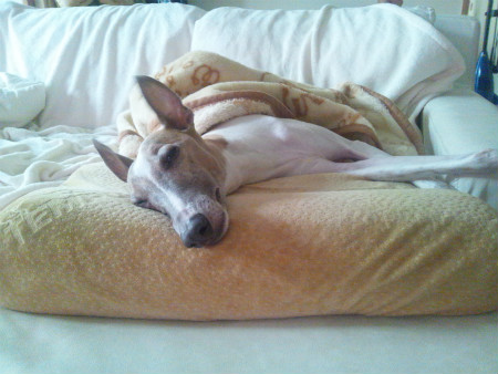 2012092702.jpg