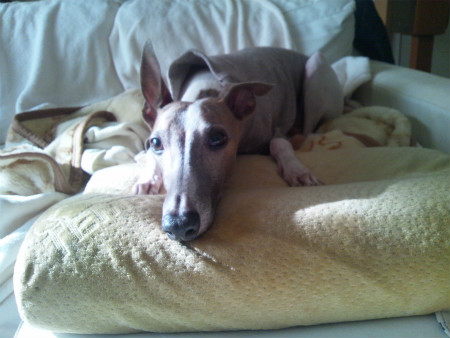 2012092703.jpg
