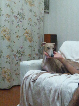 2012093001.jpg