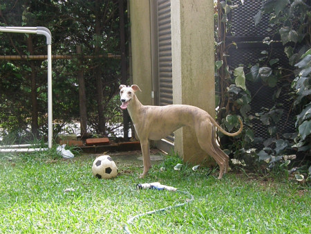 2012100602.jpg