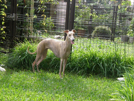 2012100603.jpg