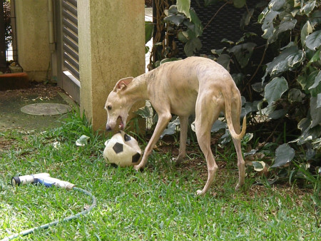 2012100604.jpg