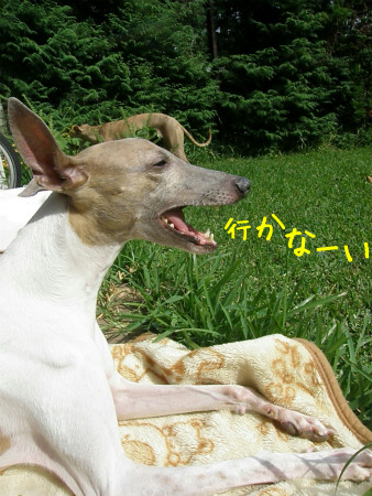 2012100607.jpg