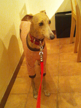 2012100703.jpg