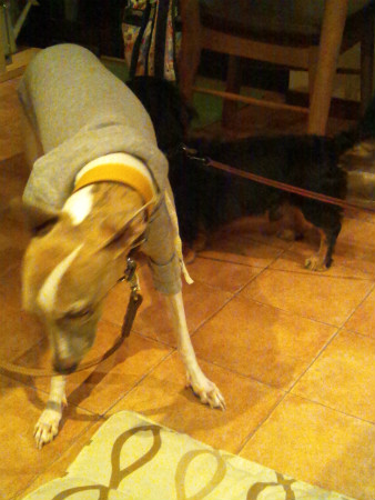 2012100704.jpg