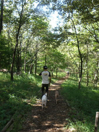 2012100801.jpg