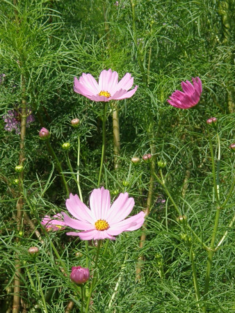 2012100821.jpg
