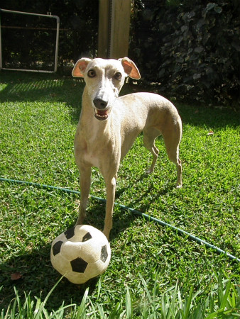 2012101303.jpg
