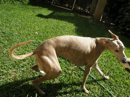 2012101304.jpg