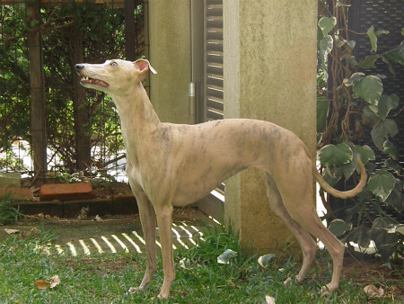 2012101305.jpg