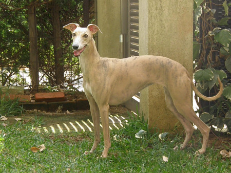 2012101306.jpg