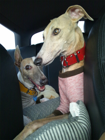 2012101801.jpg