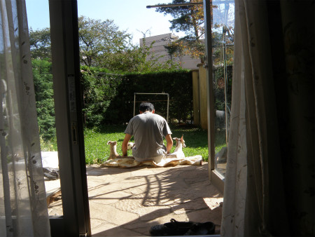 2012102101.jpg