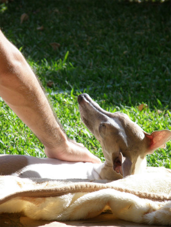 2012102102.jpg