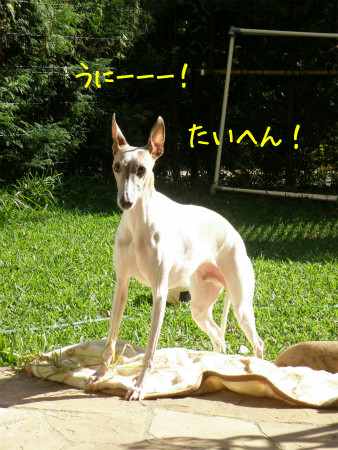 2012102103.jpg