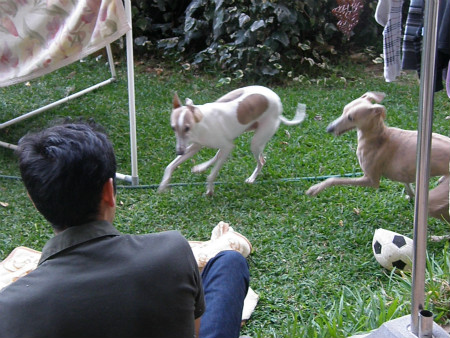 2012102104.jpg
