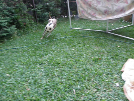 2012102105.jpg