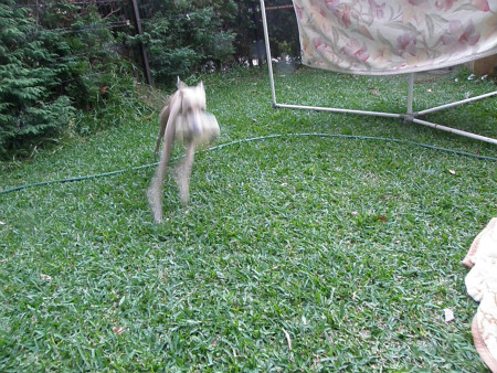 2012102106.jpg