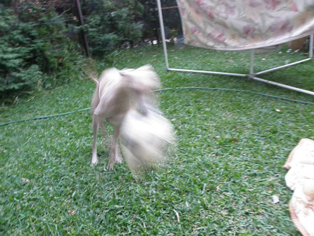 2012102107.jpg