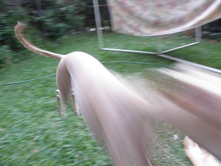 2012102108.jpg