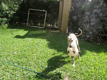 20121024-212558-54387900.gif