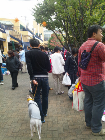 2012102702.jpg