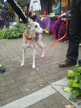 2012102703.jpg