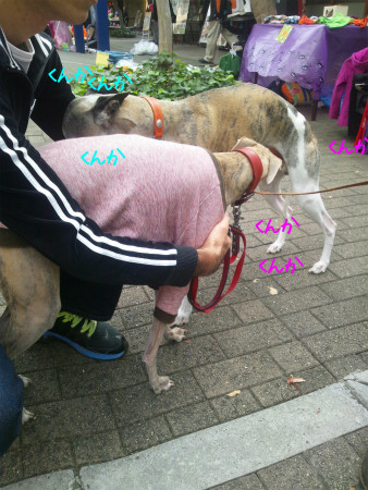 2012102704.jpg