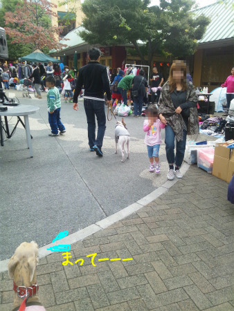 2012102705.jpg