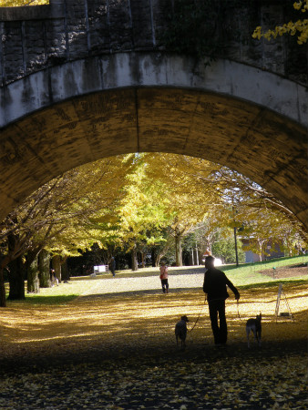 2012111801.jpg