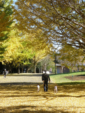 2012111802.jpg