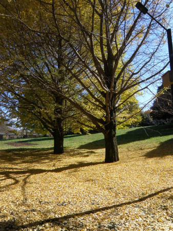 2012111803.jpg
