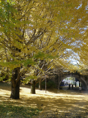 2012111804.jpg