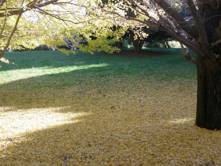2012111805.jpg