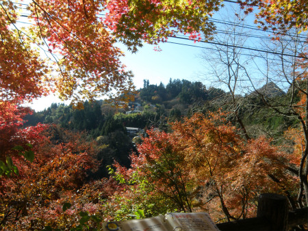 2012112501.jpg